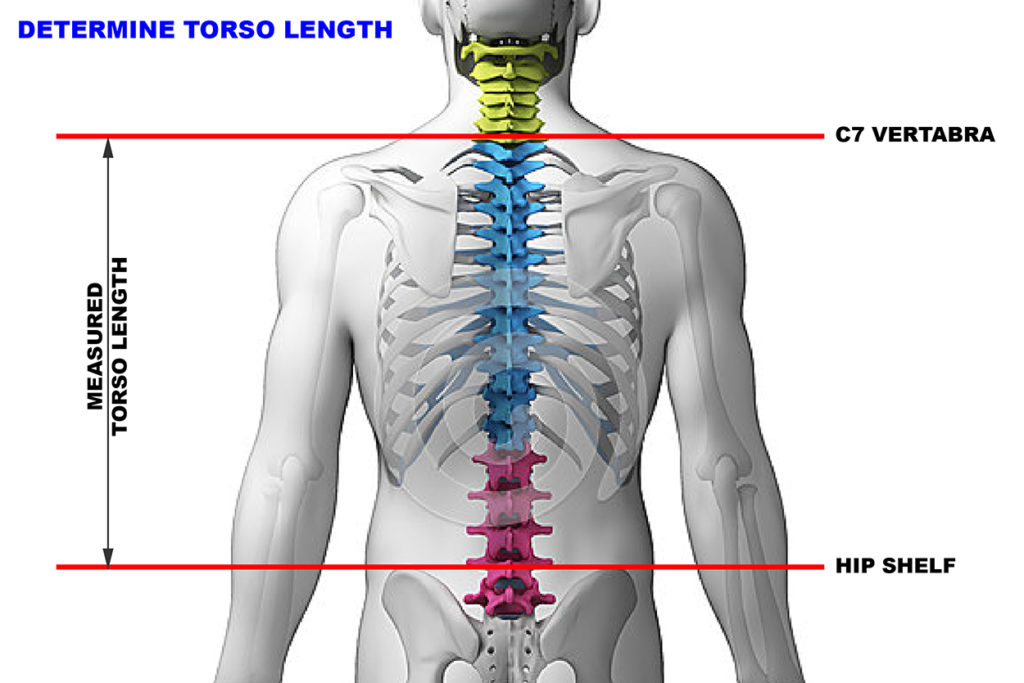 Torso Measurement for Pack Sizing