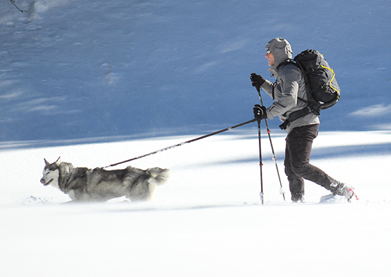 Man wearing black backpack snow shoeing with dog