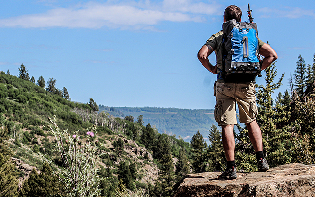 the pack backpack